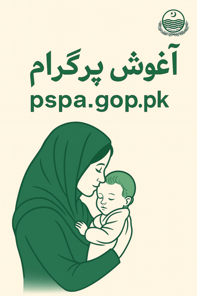 CM Punjab Agosh Program